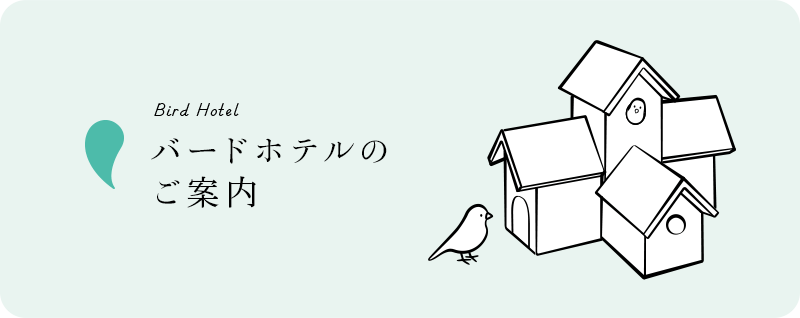 Bird Hotel バードホテルのご案内