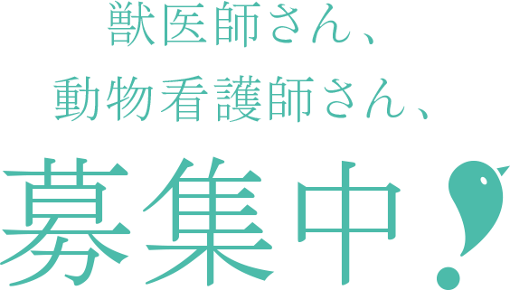 獣医師さん、動物看護師さん、募集中！