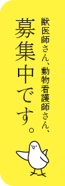 獣医師さん、動物看護師さん、募集中です。